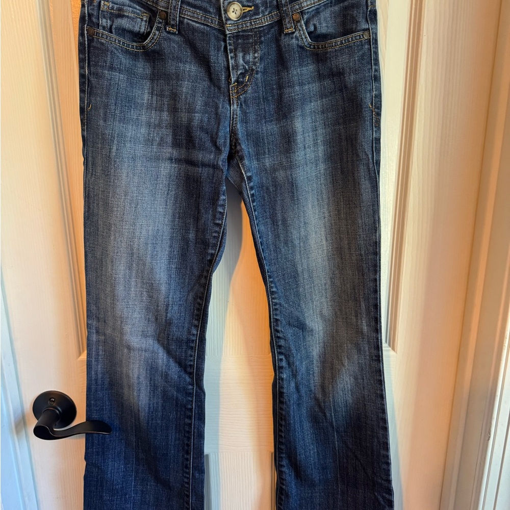 IT Los Angeles Hottie Jeans Size 26 Short